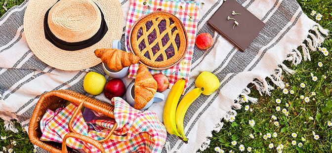 The Ultimate Guide to Choosing the Perfect Picnic Mat for Your Next Outdoor Adventure