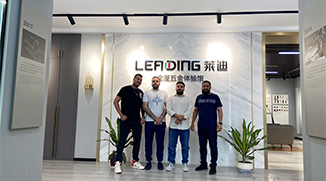 Laidi Technology Partner