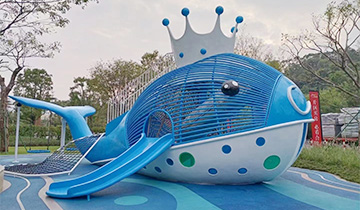 Whale Outdoor Playground Equipment
