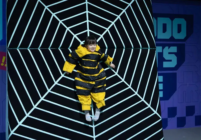 Spider Wall